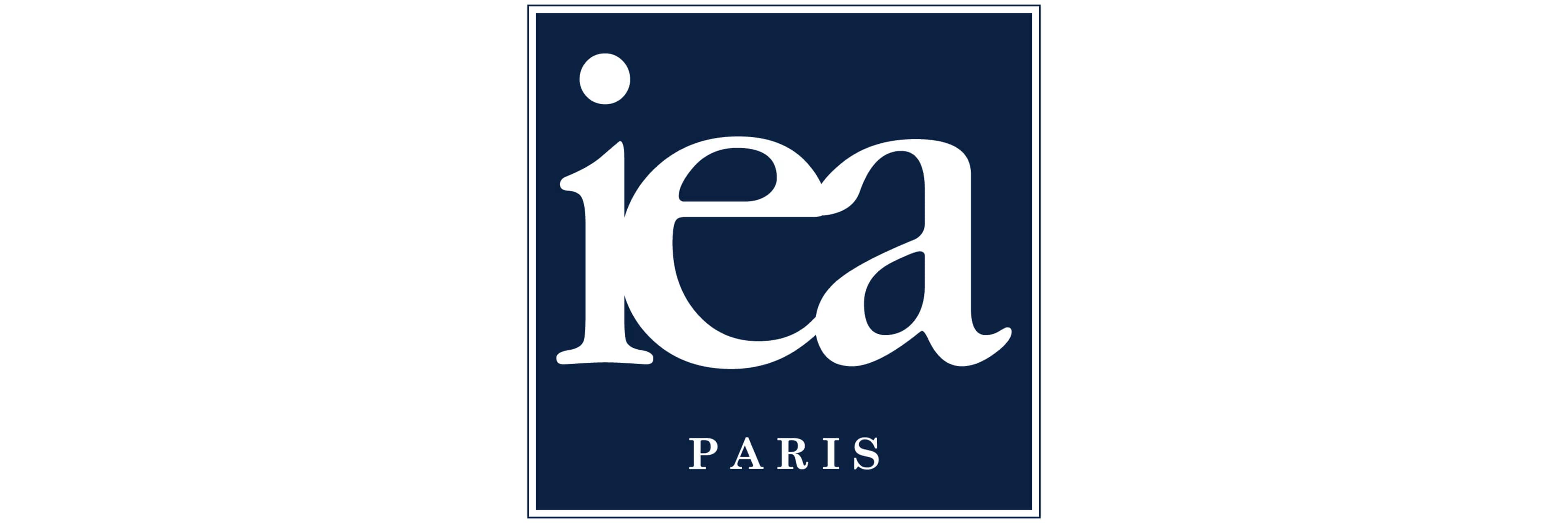 Institut Européen Des Affaires