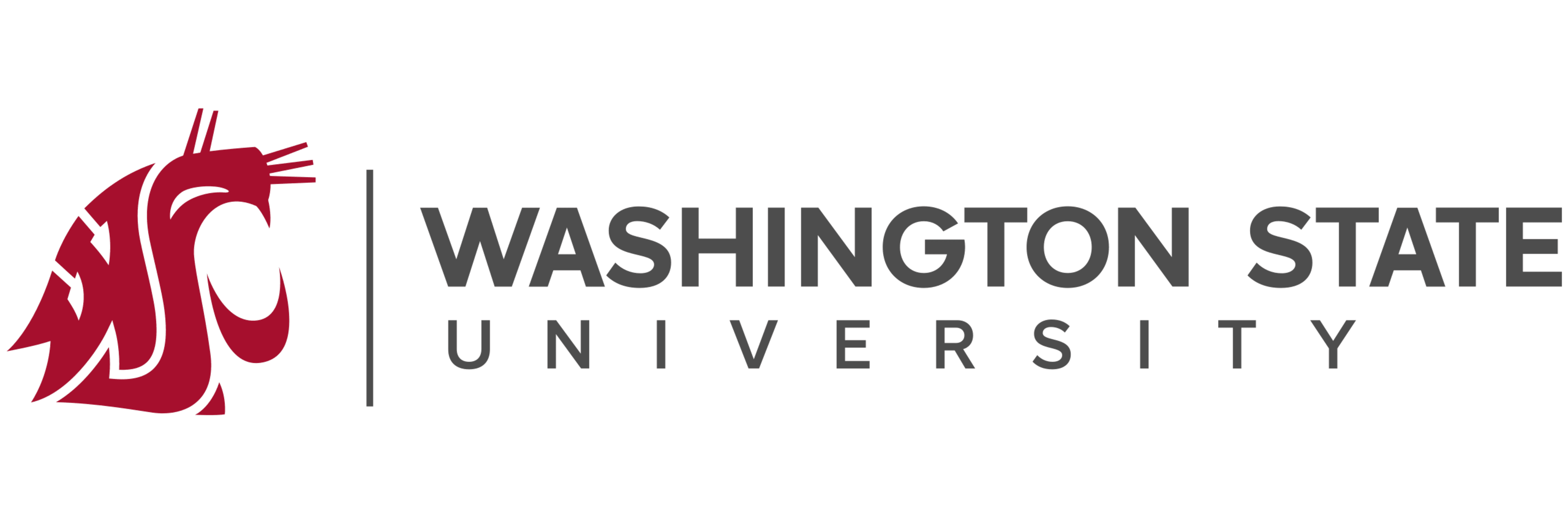 Washington State University