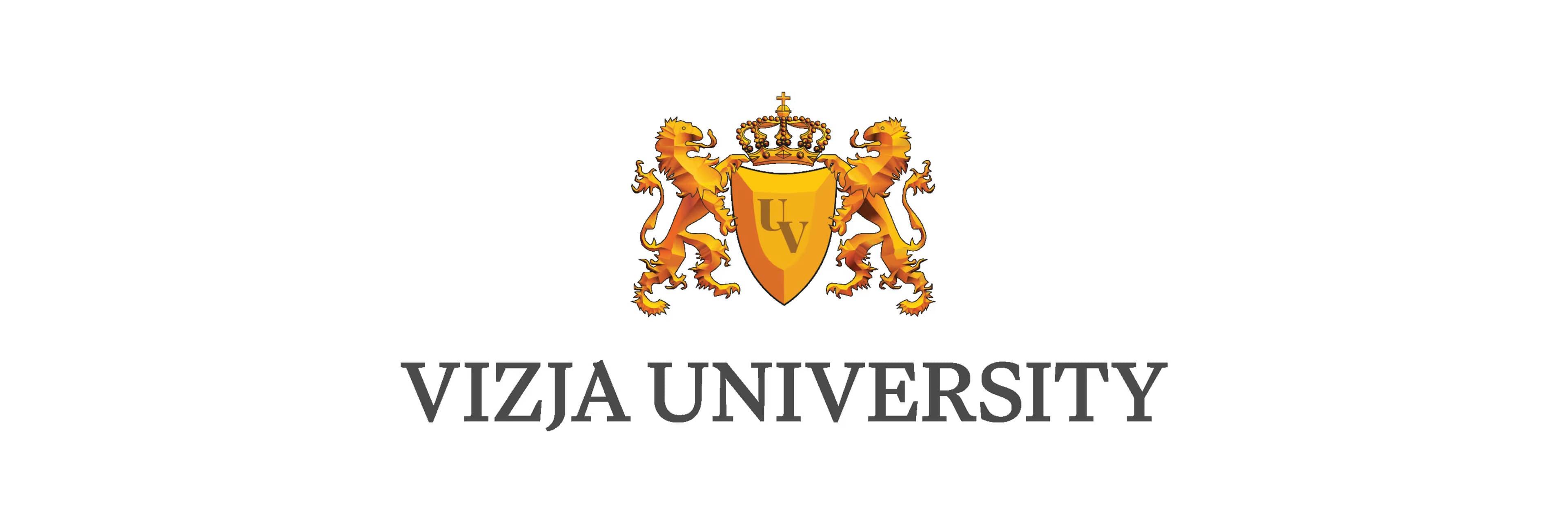 Vizja University