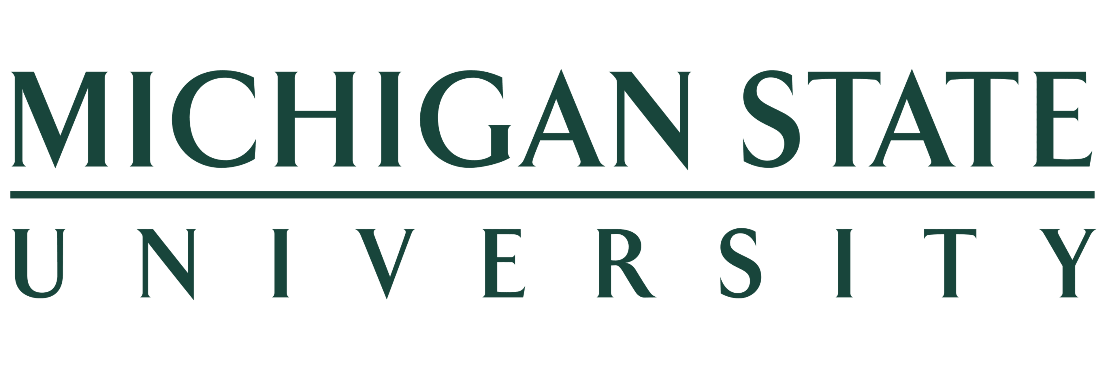 Michigan State University