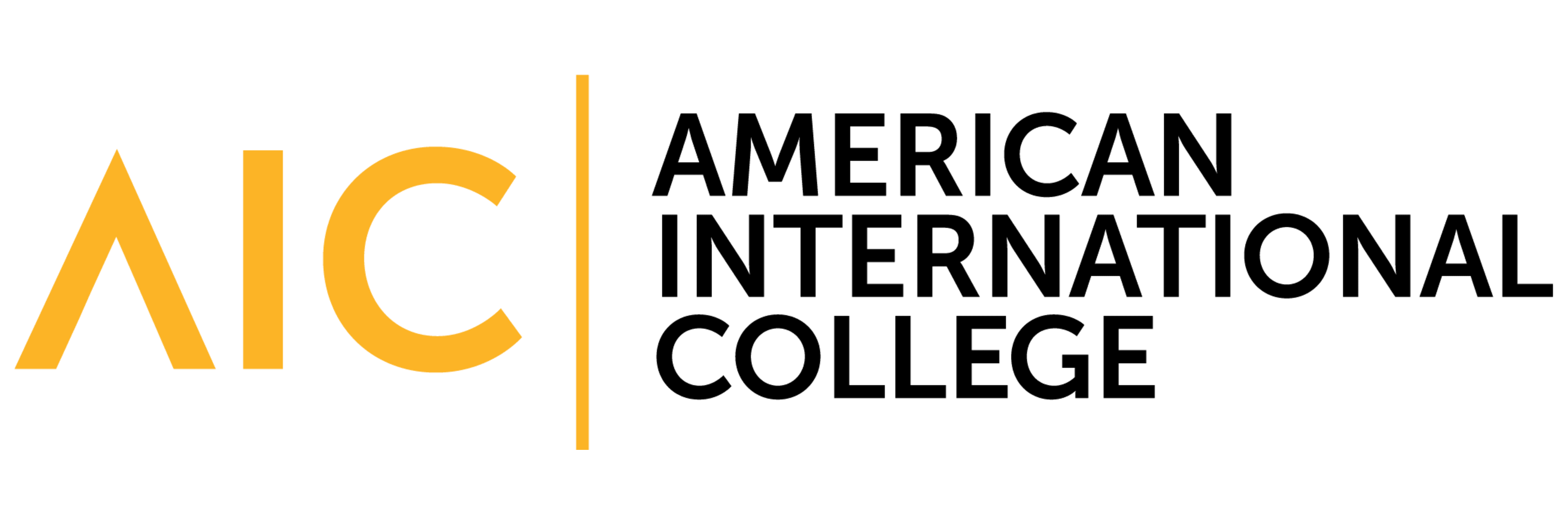 American International College