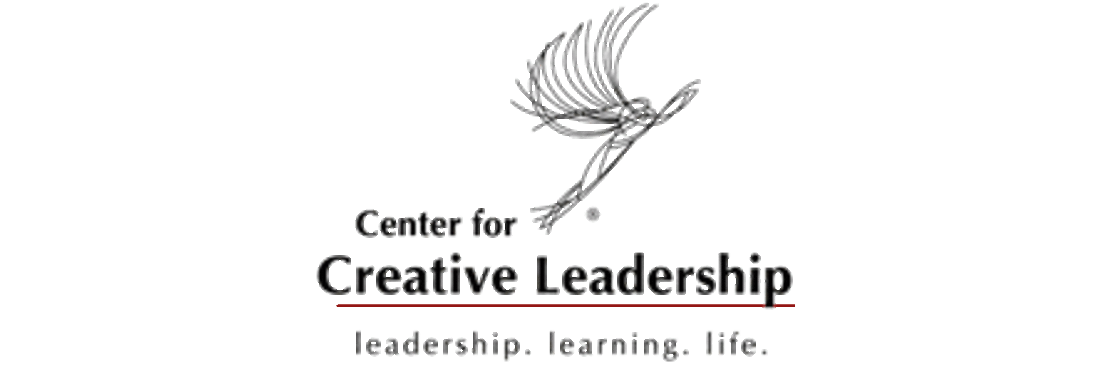 Center for Creative Leadership