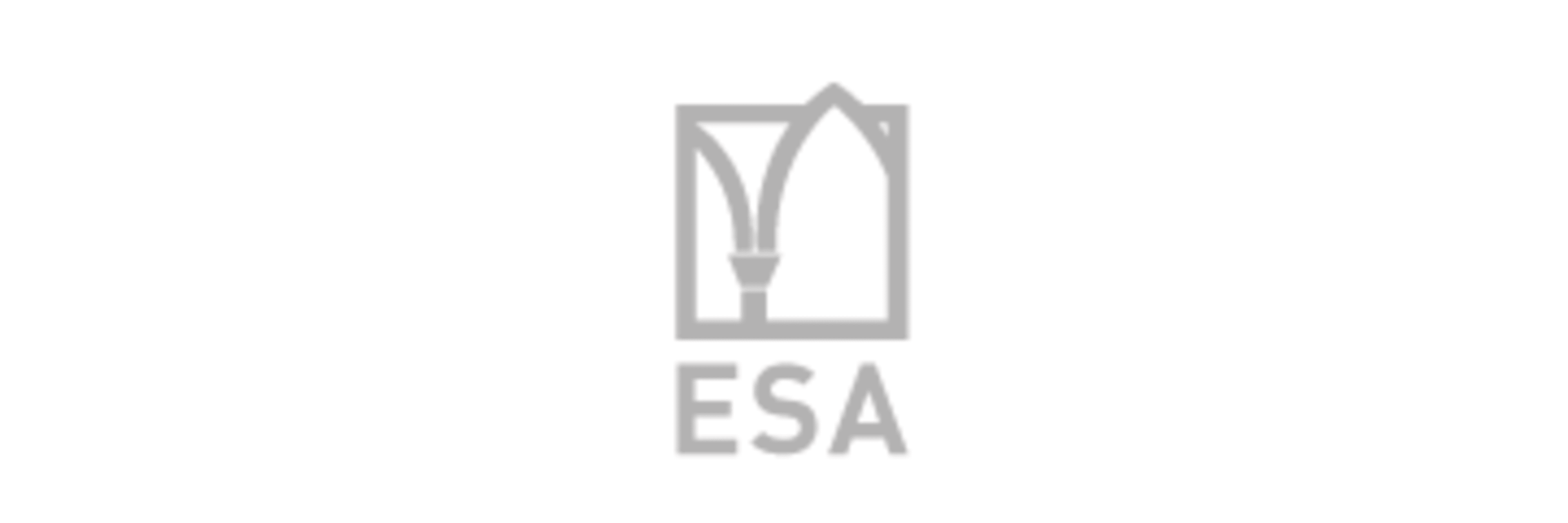ESA Business School - Ecole Supérieure des Affaires