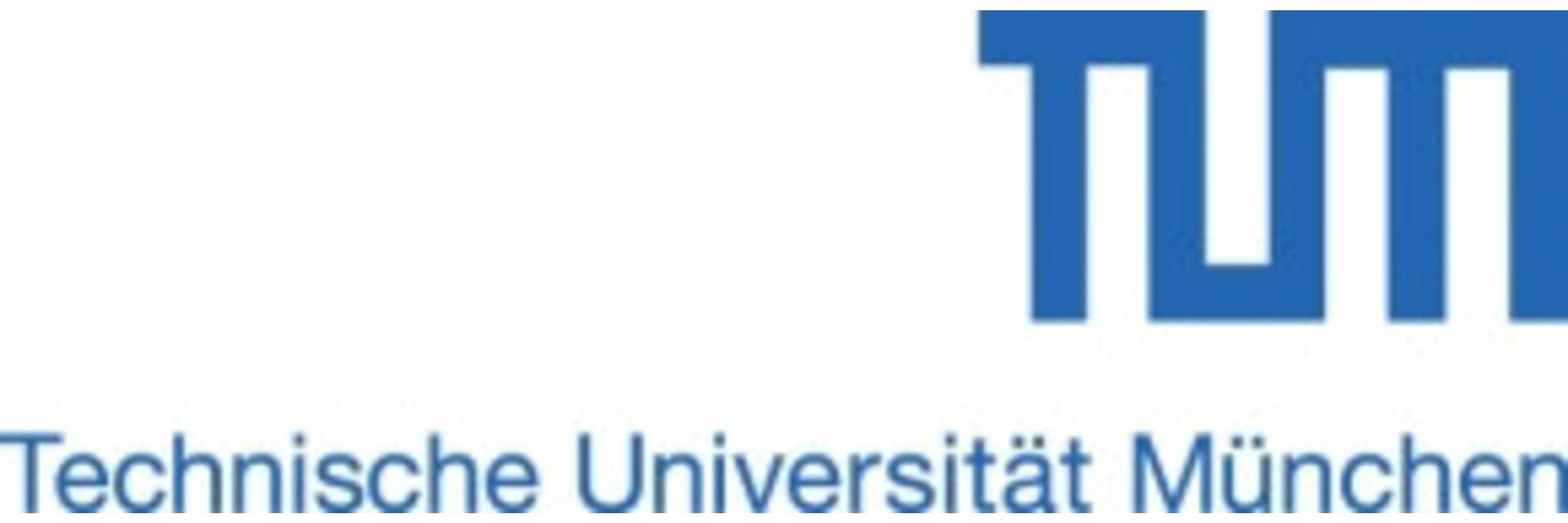 TUM School of Management Executive Programs