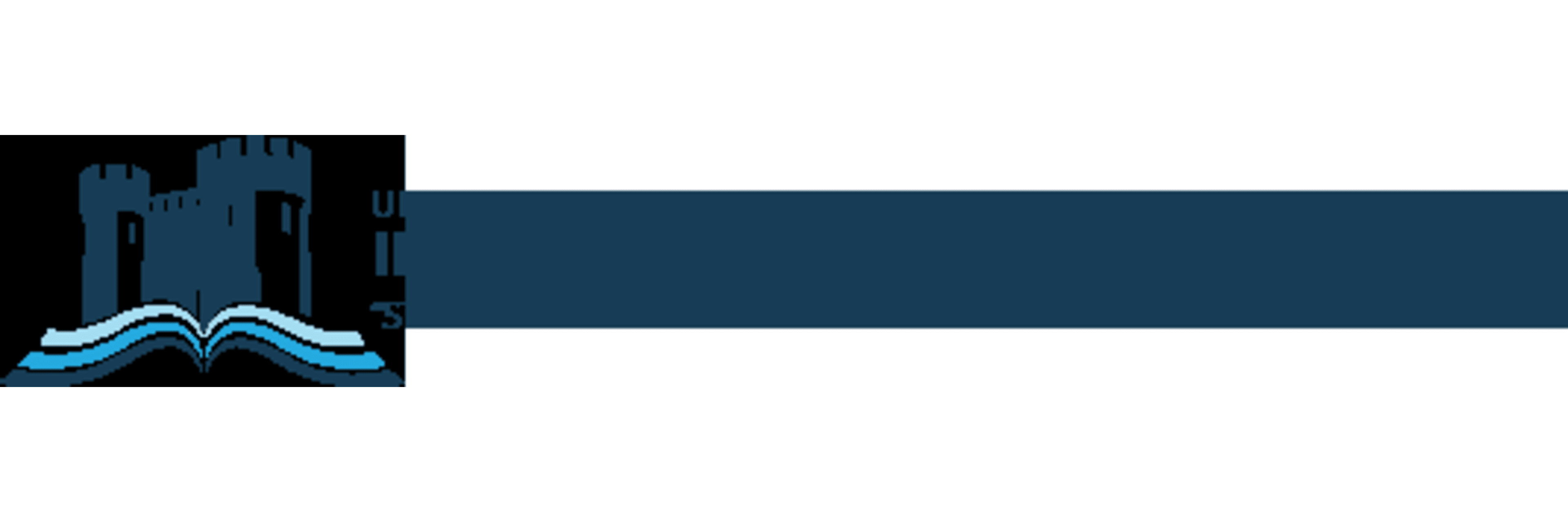 University For Information Science And Technology