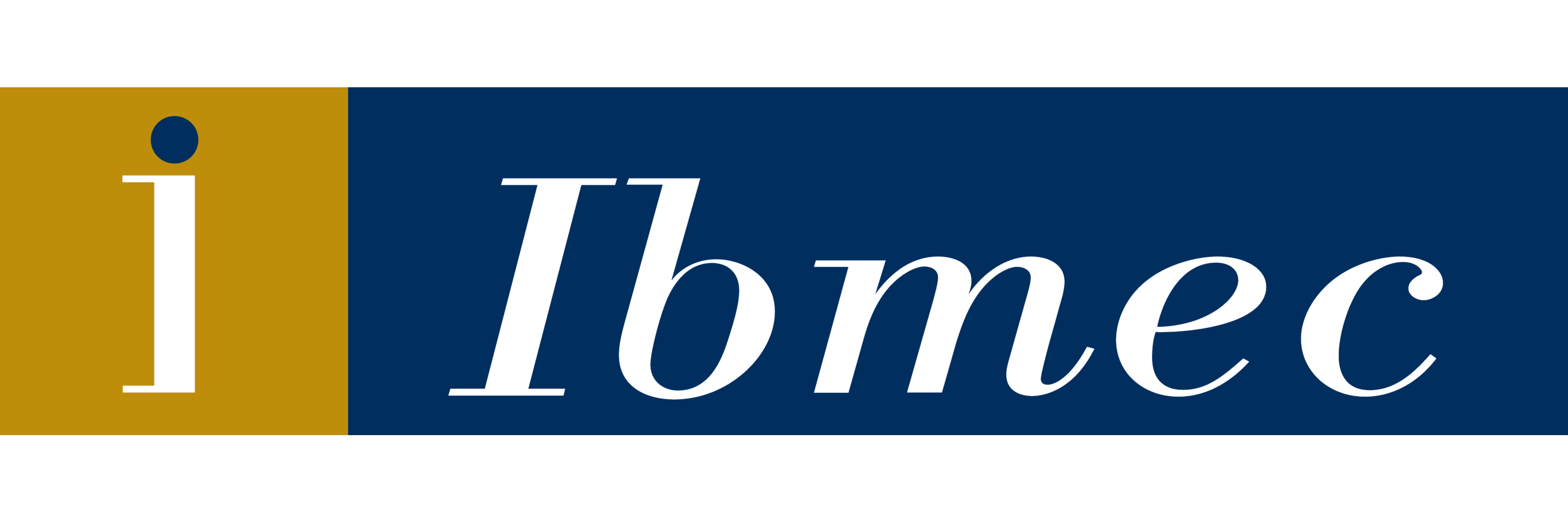 Ibmec