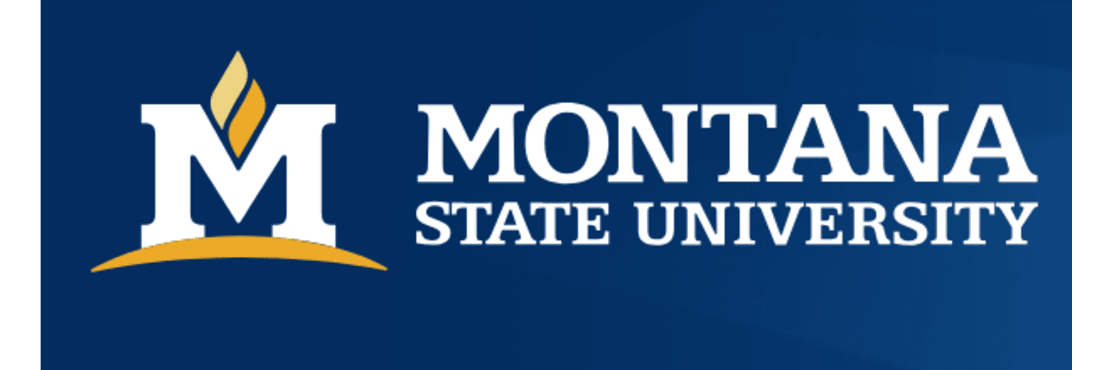 Montana State University