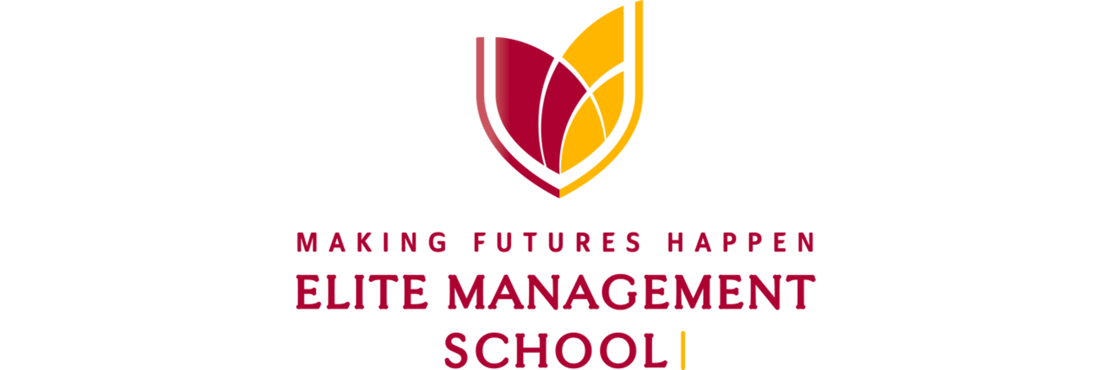 Elite Management School - Pioneer University Degree Pathway Provider in Wellington New Zealand