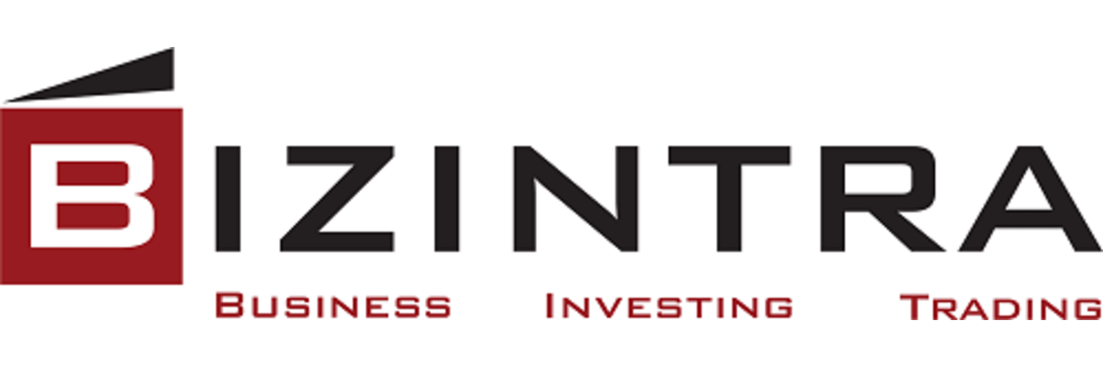 Bizintra
