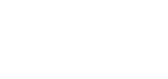The Institute Of Education