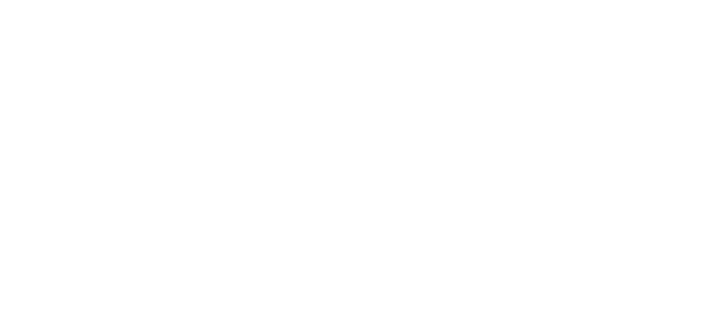 College Of European And Regional Studies