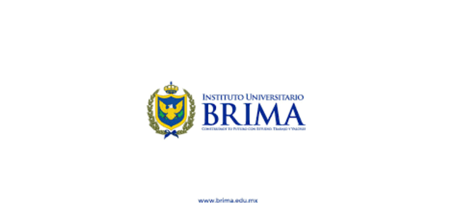 Brima Institute