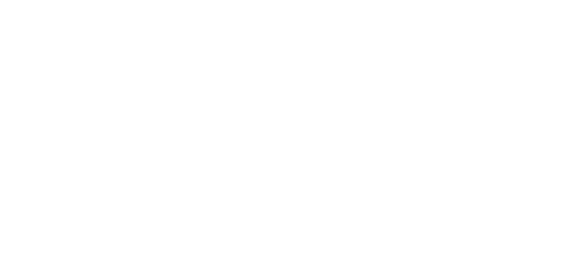 The Institute of International Studies