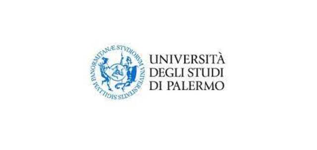 University Of Palermo