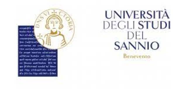 University Of Sannio