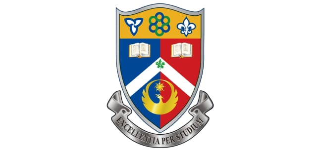 Toronto International College