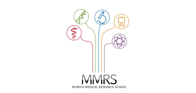 LMU University – Faculty of Medicine