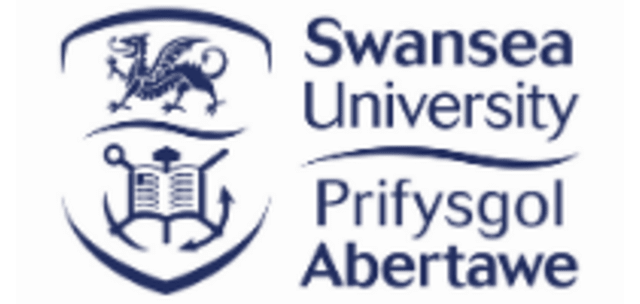 Swansea University