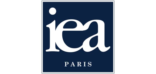 Institut Européen Des Affaires