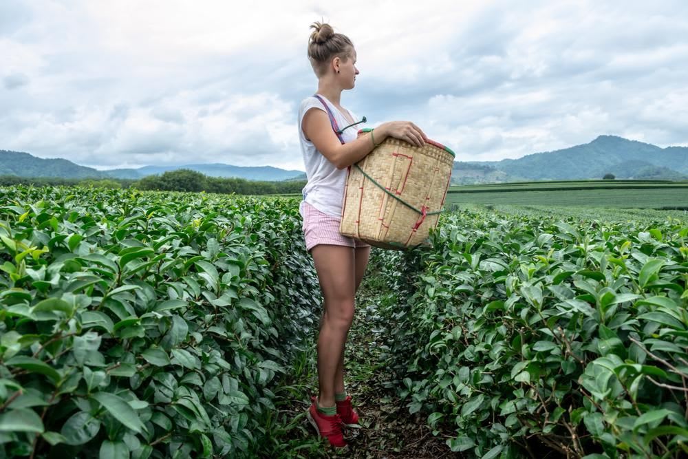 Top Master Degrees Degrees in Tourism and Hospitality Tourism