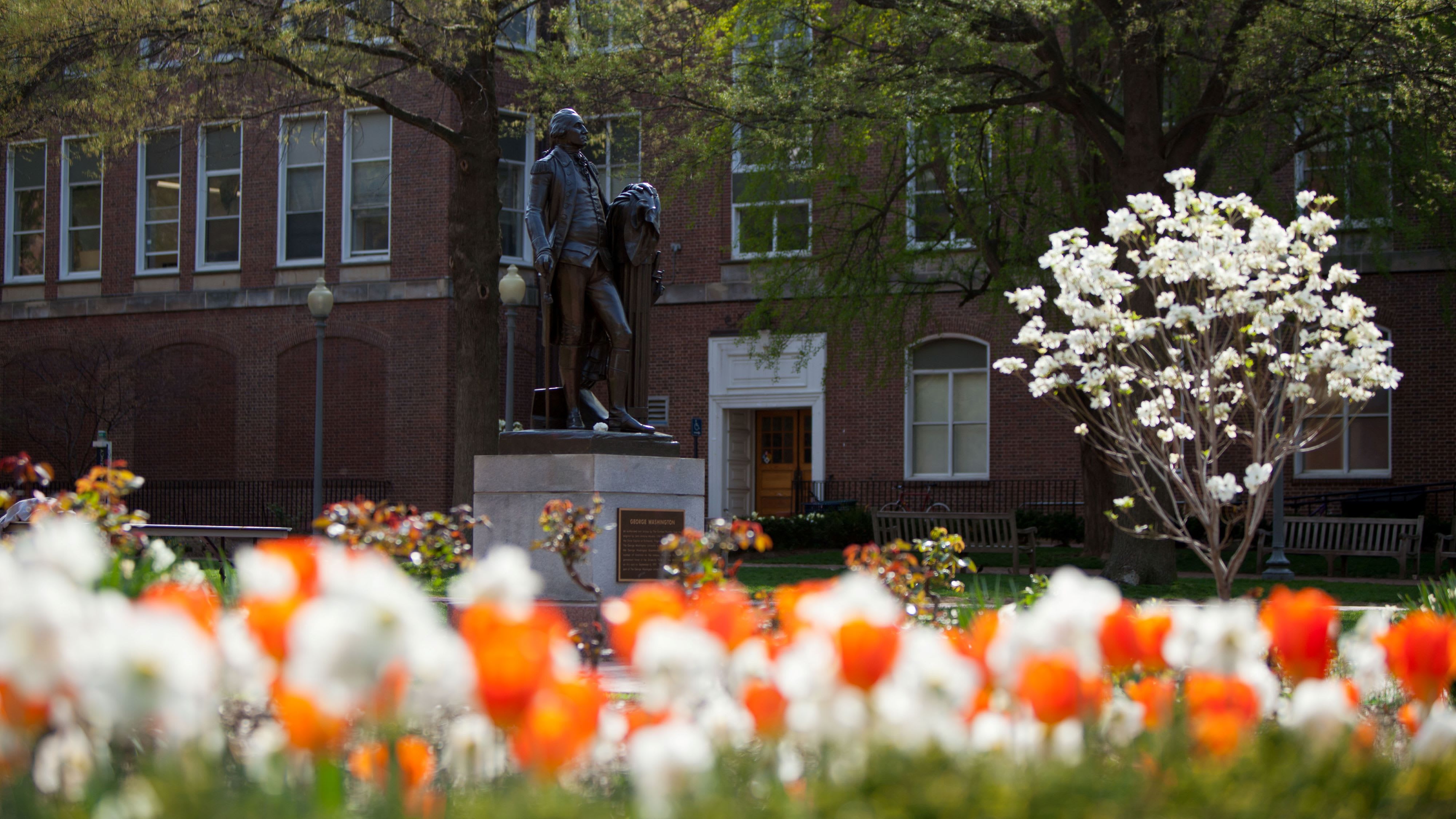 George washington university