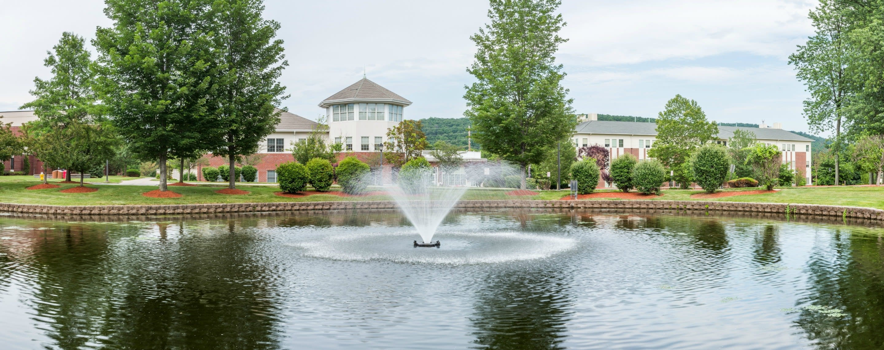 Licenciado en Inglés, Orangeburg, Estados Unidos de América 2022