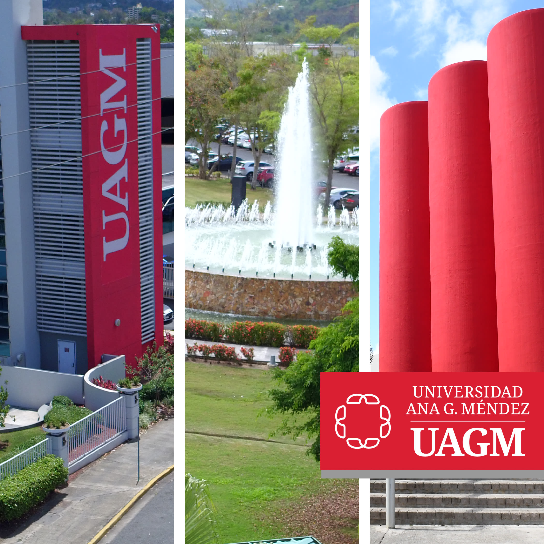 Master In Business Administration With A Specialty In Project Management San Juan Puerto Rico Online Mba 2021