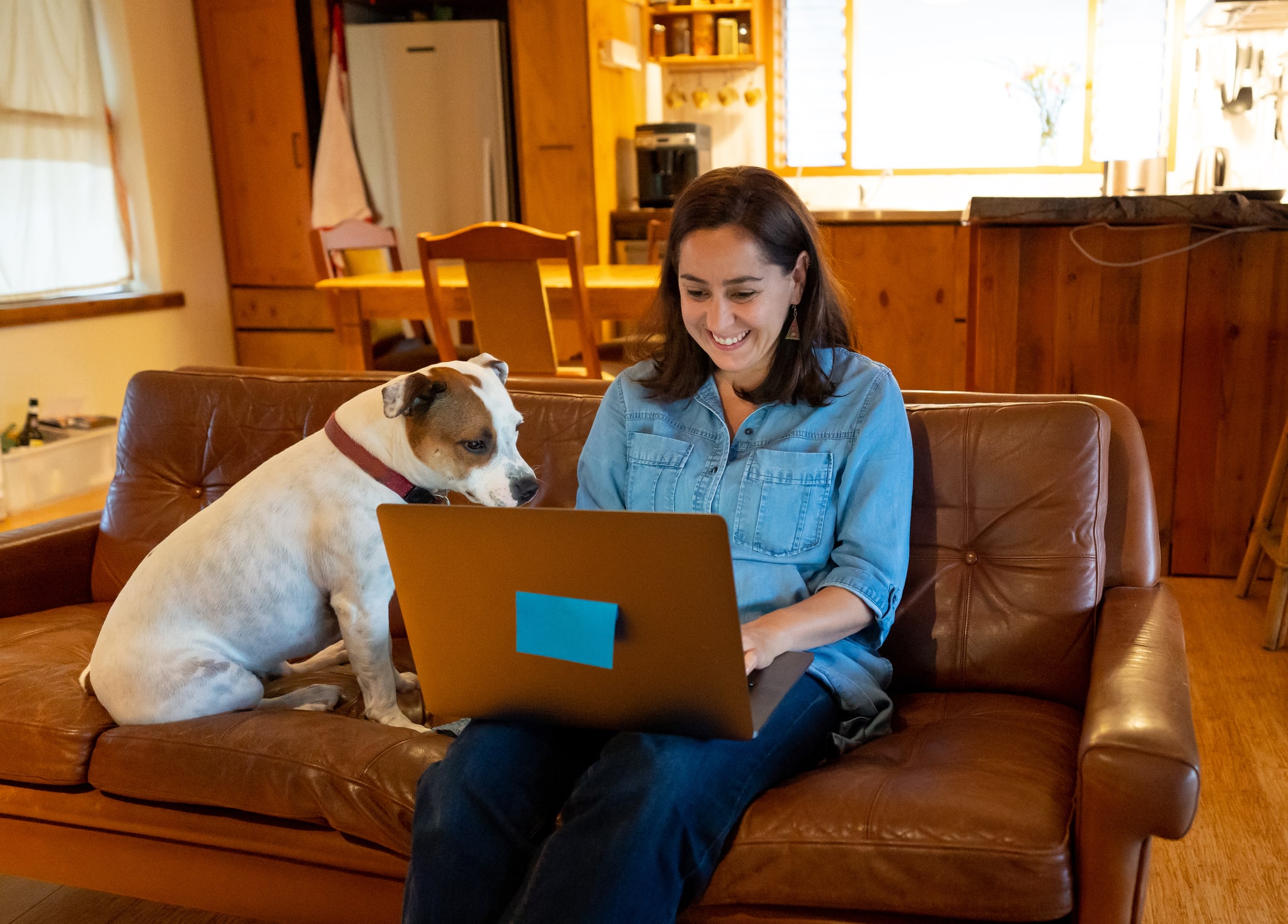 What Students Should Know About Bringing Pets to University