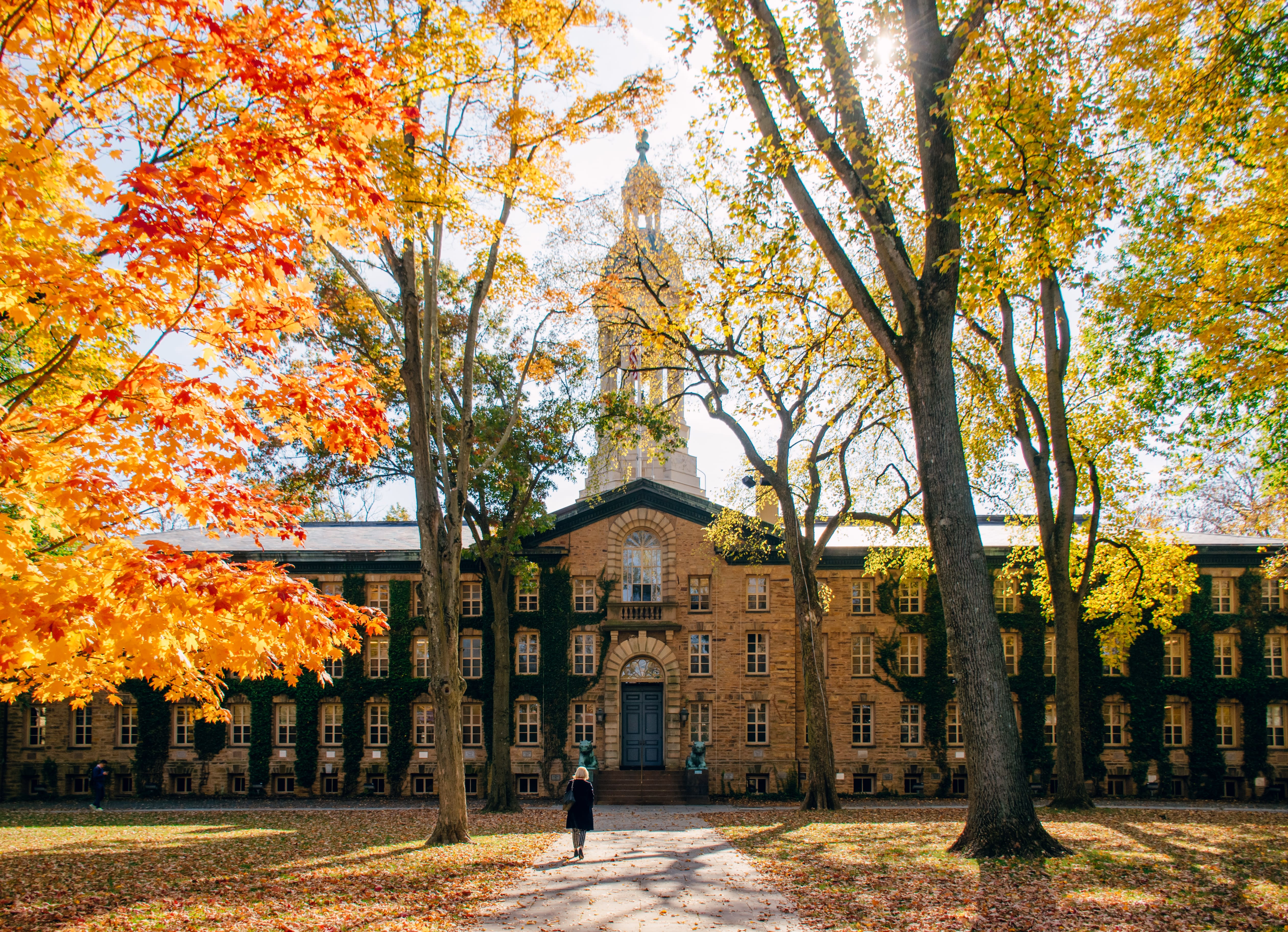 What Do Ivy League Schools Look For In Their Students
