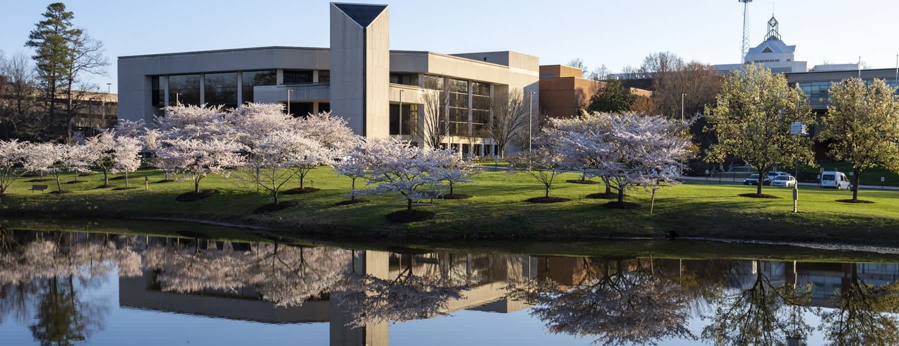George Mason University: Programs, Admissions | educations.com