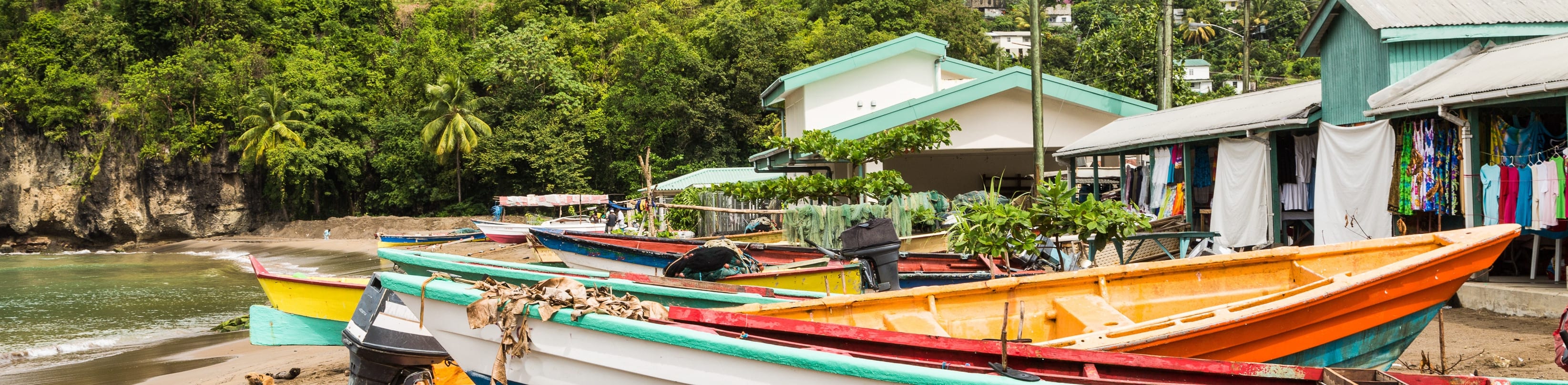 1 Top Medical Studies (M.D.) Degrees in Vieux Fort, Saint Lucia for 2024