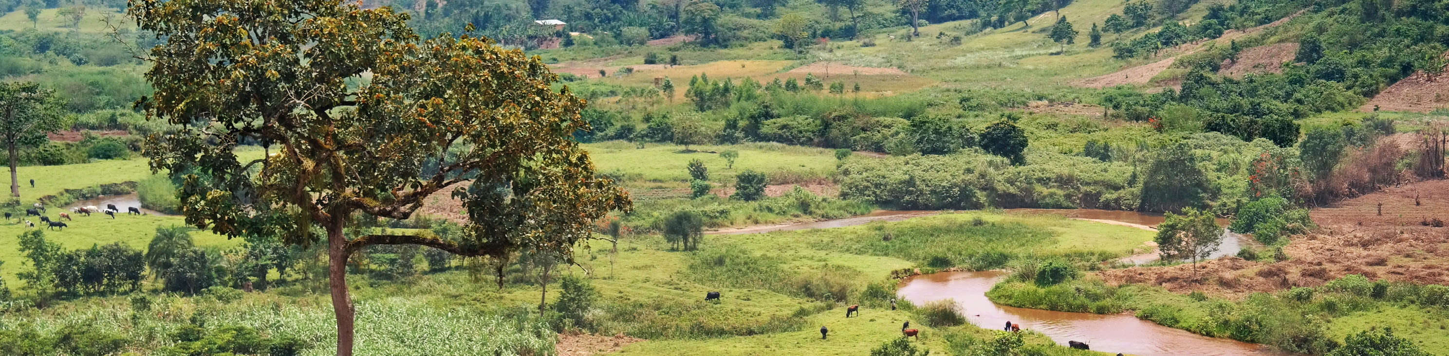 Maestría Programas en Congo 2025