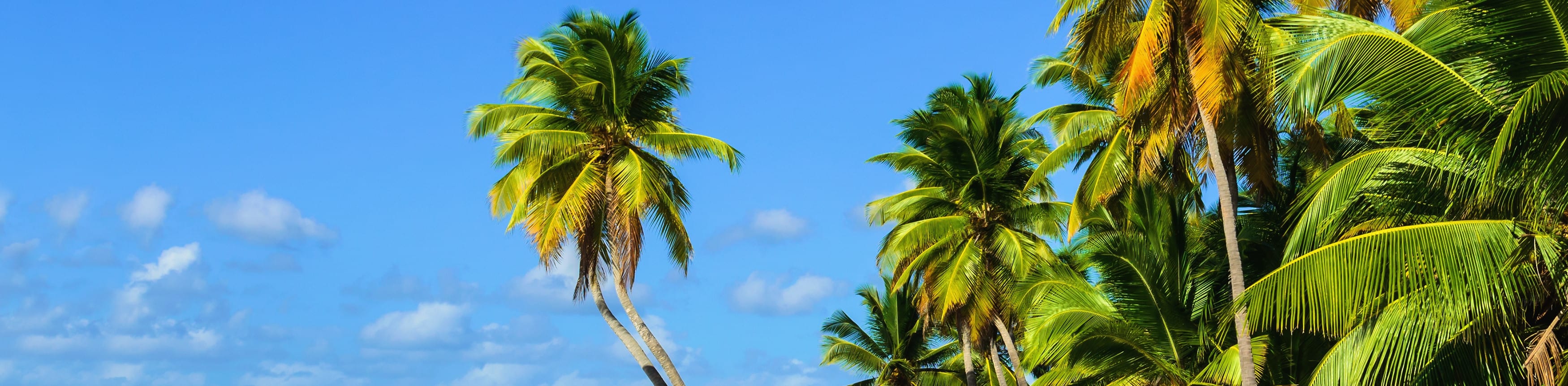 Study Master in Haiti 2025