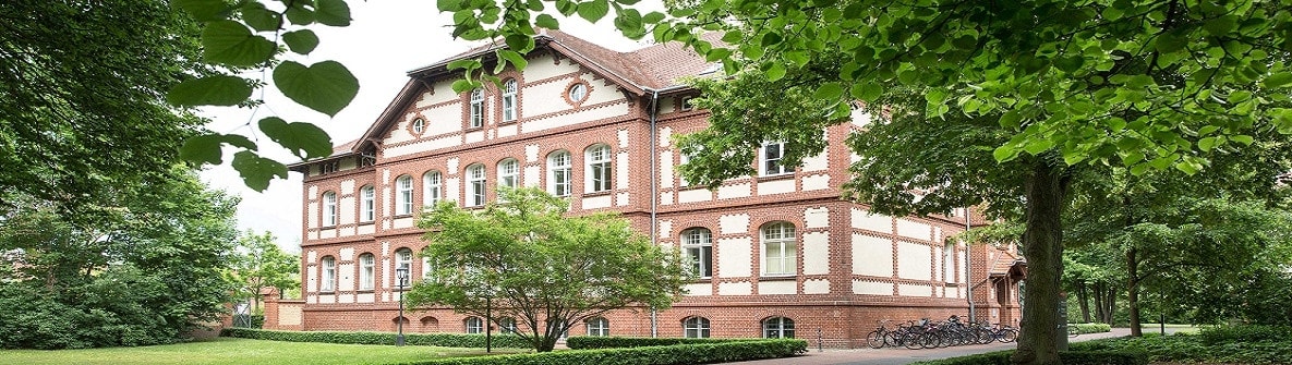 Y ksek Lisans Klinik Psikoloji Ve Psikoterapi M Sc Neuruppin 