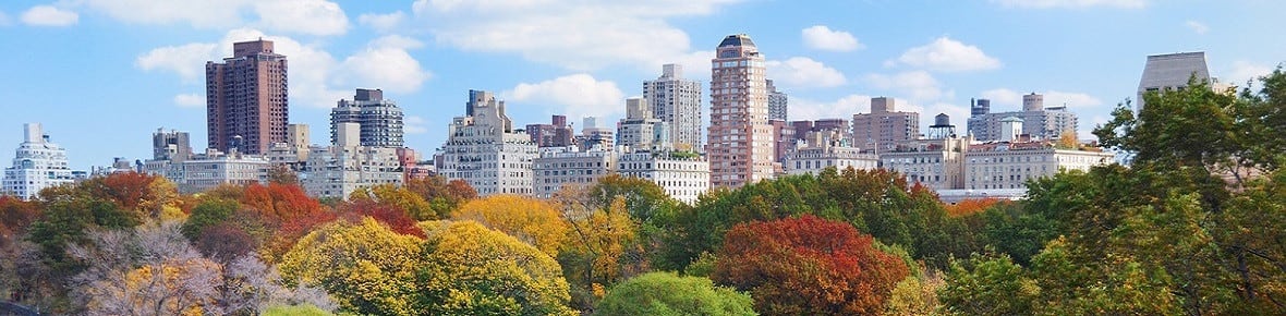 Bachelor in Informatik, Dobbs Fähre, Vereinigte Staaten von Amerika 2021