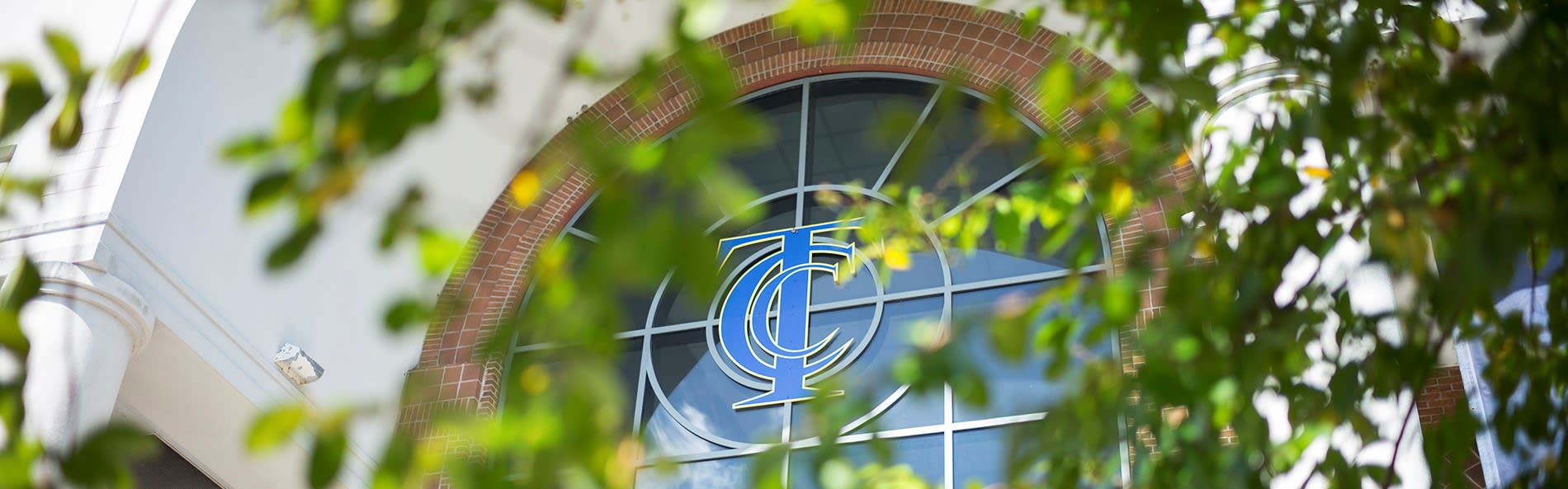 tallahassee-community-college-in-usa-courses