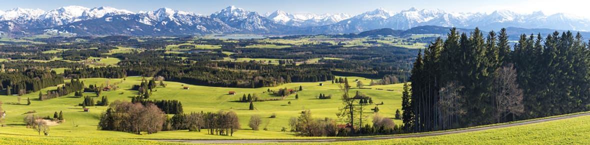 Mba In International Business Management Leadership In Germany Kempten Germany 21
