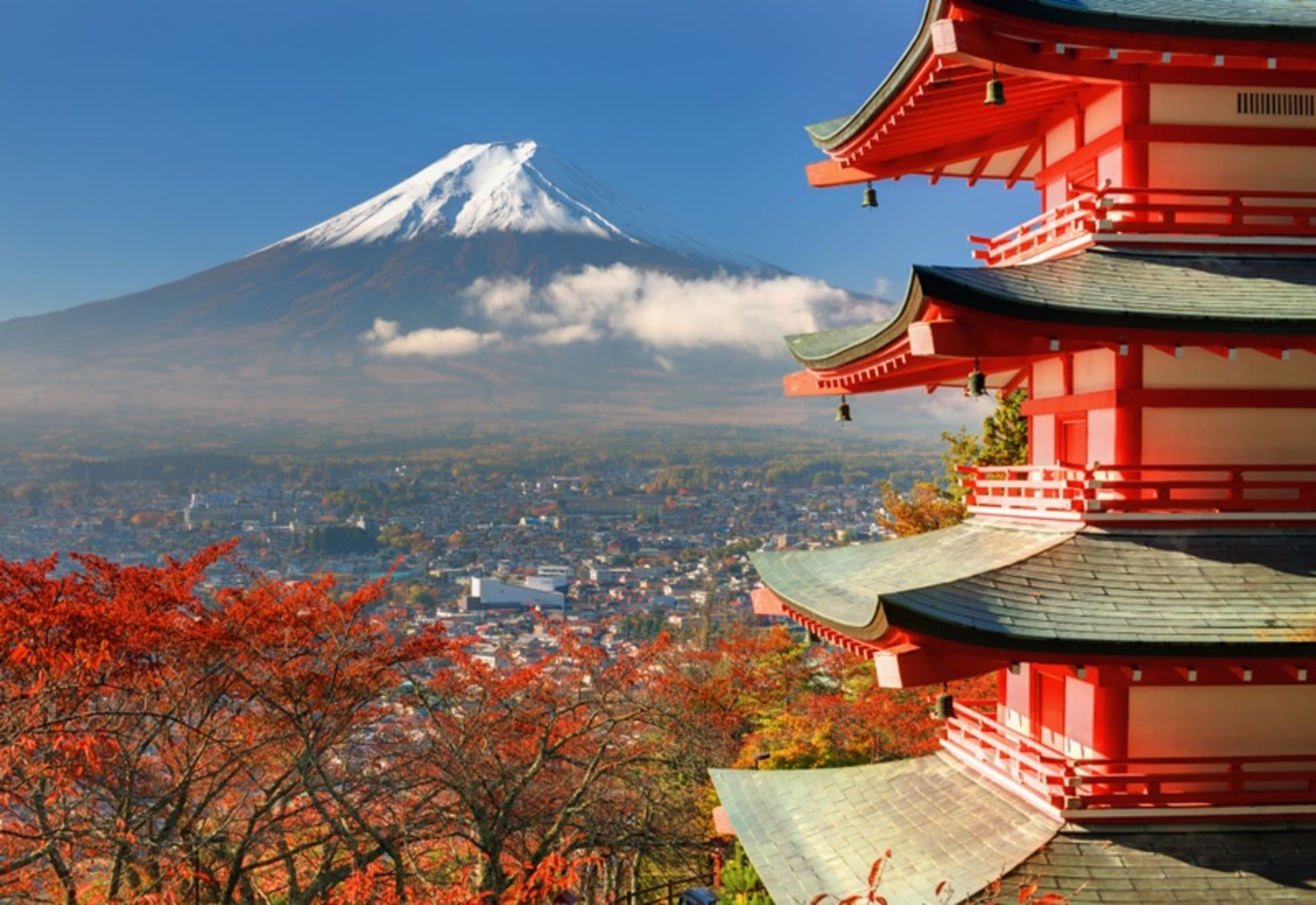 5 Top Reasons Why You Should Study in Japan