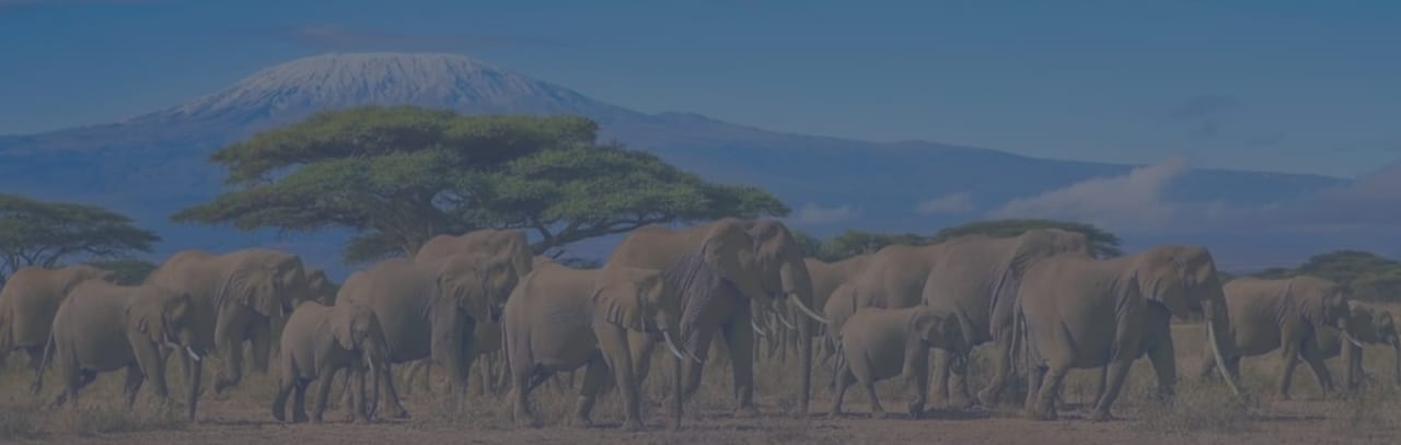 Why You Need To Visit Kenya