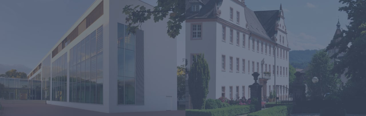 Offenburg University MBA in internationaal zakelijk advies