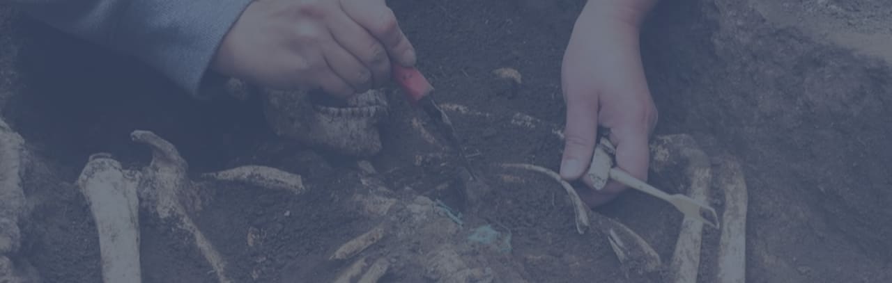 4 Things to Know About Paleontology