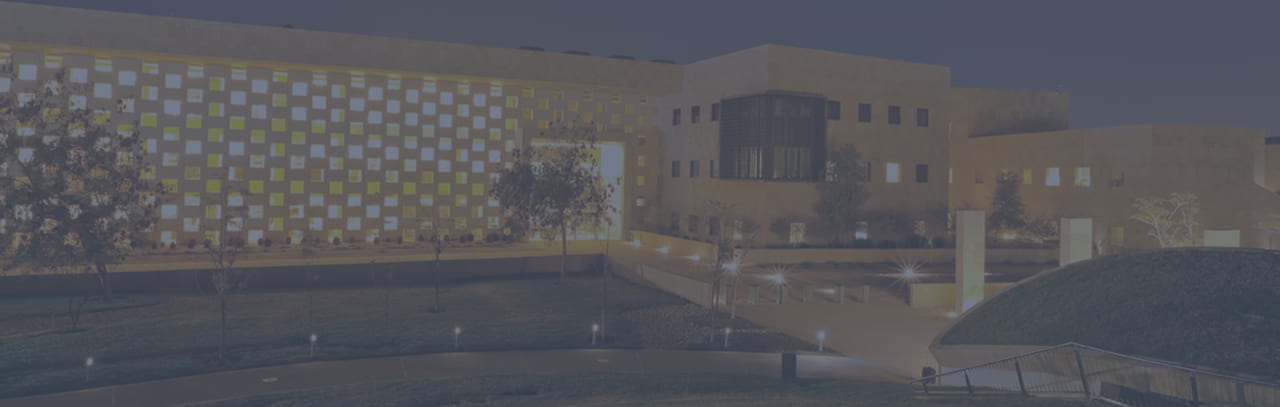 Georgetown University Qatar Sarjana Ekonomi Internasional (IECO)
