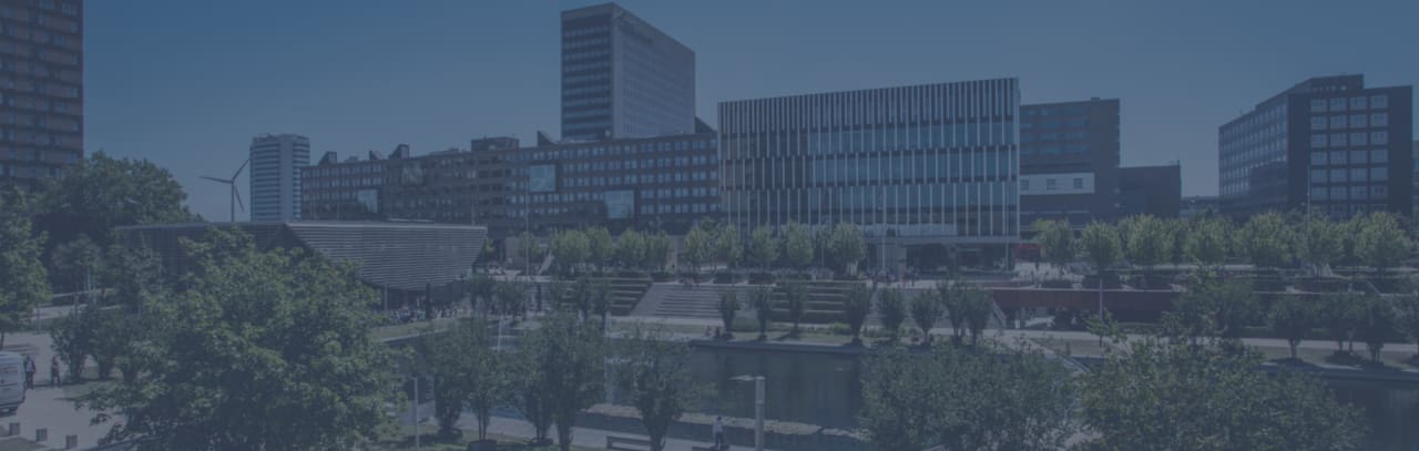 Rotterdam School of Management | Erasmus University Executive MBA - 18 kuud