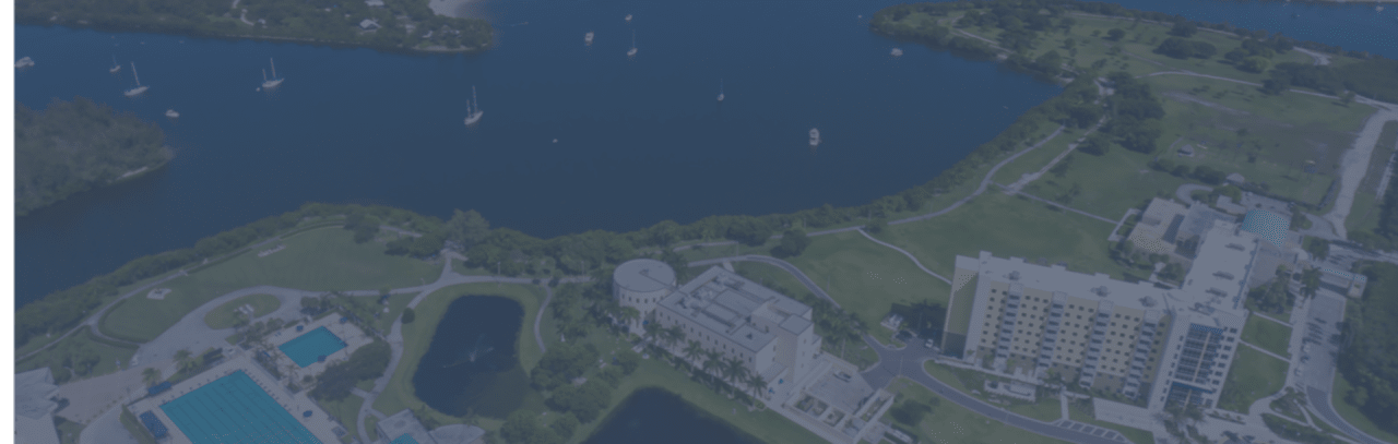 Florida International University Licenciatura en línea en turismo sostenible global