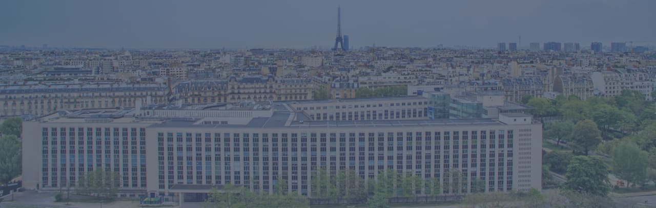 Paris Dauphine University Executive Doctorate in Business Administration