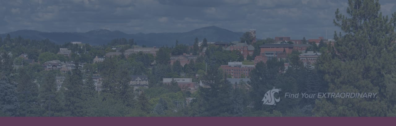 Washington State University Licence en Science et Génie des Matériaux / Métallurgie