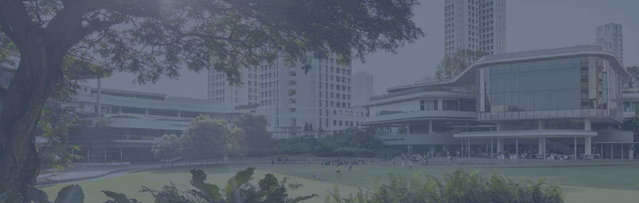 National University of Singapore MSocSci en communication