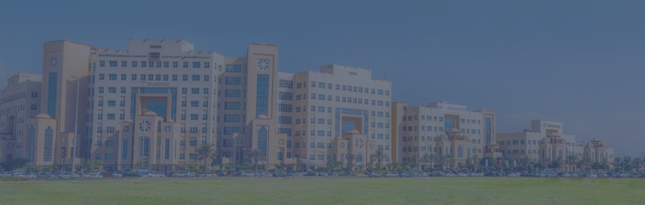 American University in the Emirates Bachelor of Science dalam Ilmu Komputer - Keamanan Jaringan