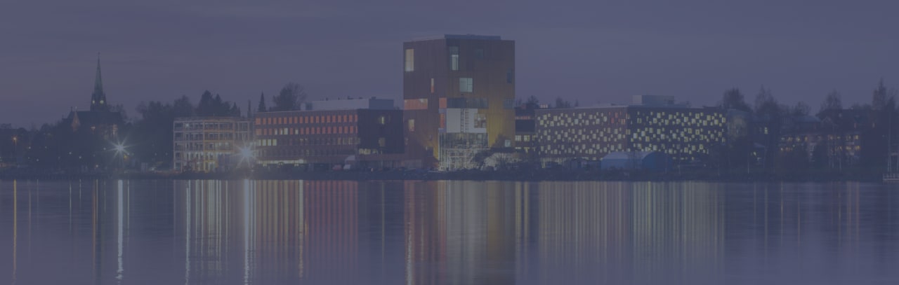 Umeå Institute of Design - Umeå University MFA i avanceret produktdesign