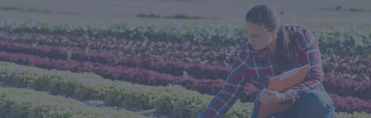 How Students and Researchers Can Create a Greener Food System